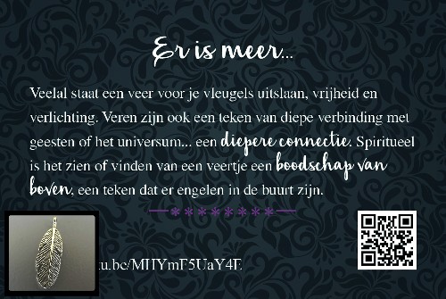 betekenis van een veer