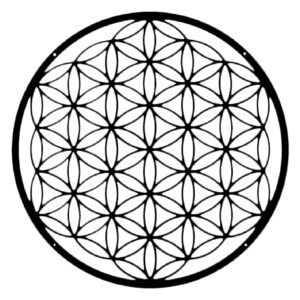Flower of life