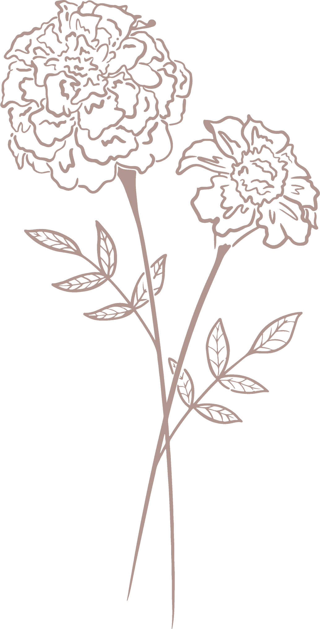 geboortebloem oktober